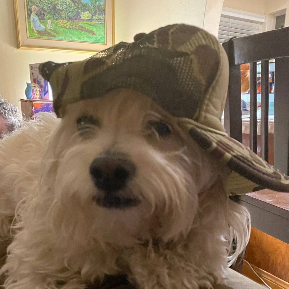 Meet your Posher, Lea